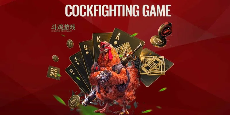 Trường đá gà U888 sôi động